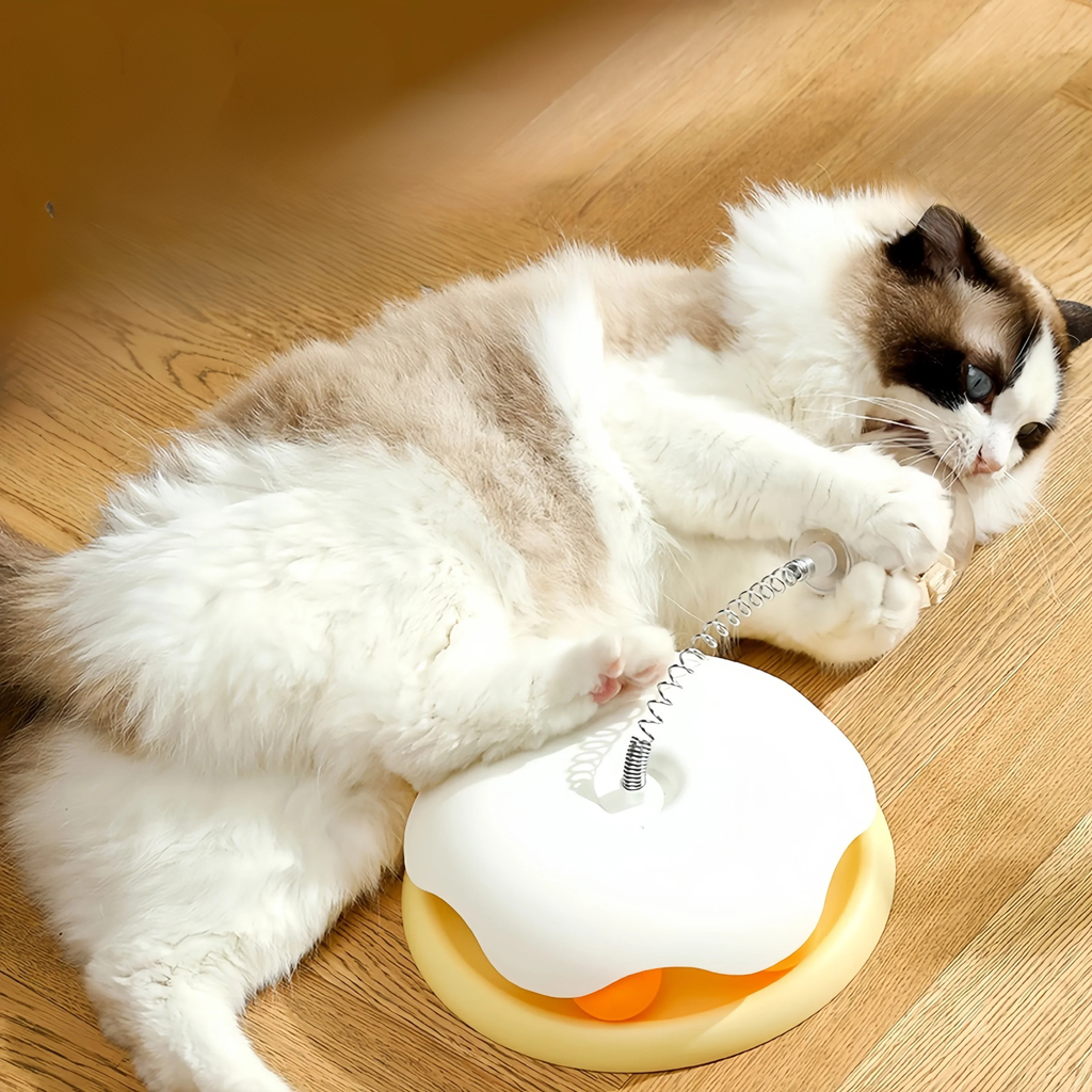 Puzzle Gourmand Anti-Ennui